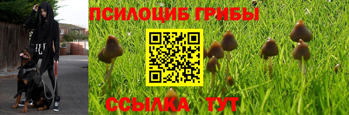 Галлюциногенные грибы прущие грибы Татарск