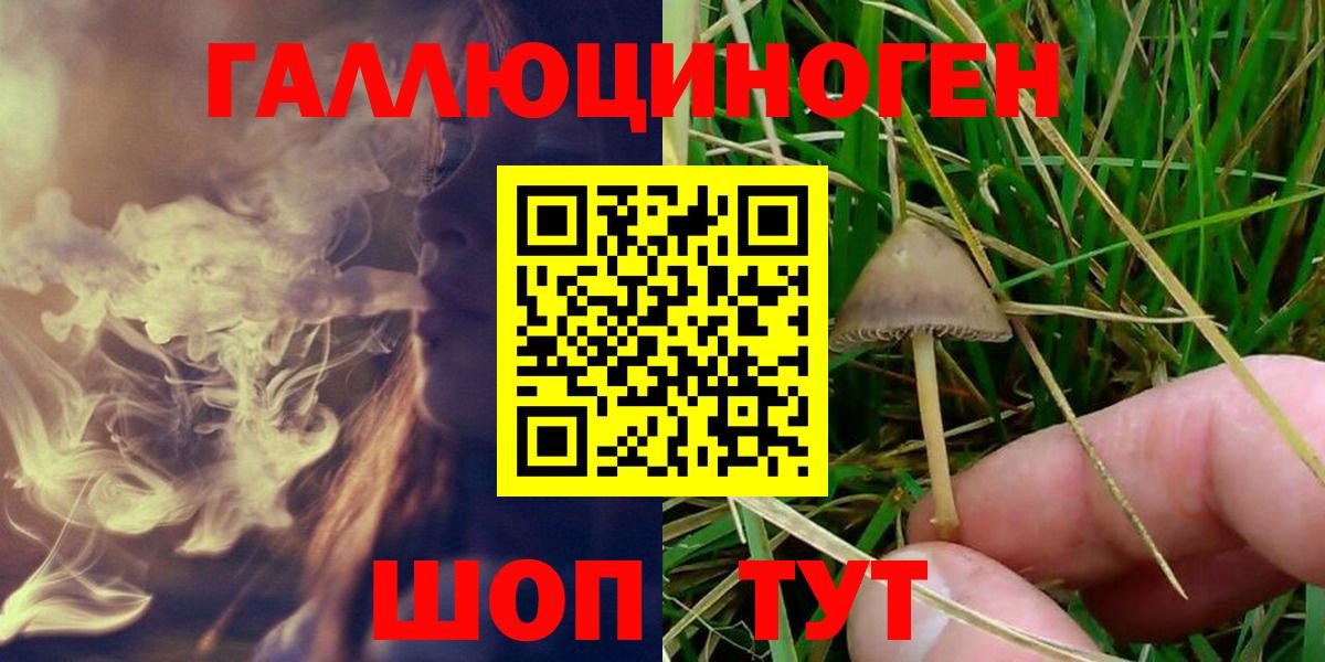 Галлюциногенные грибы GOLDEN TEACHER  Псилоцибиновые грибы ЛСД  Вход с VPN  Татарск 