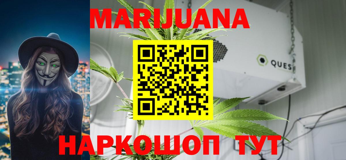 Канабис сатива Татарск